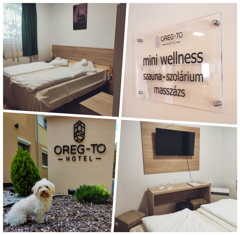 Oereg-To Hotel Es Rendezvenyter Tata Luaran gambar